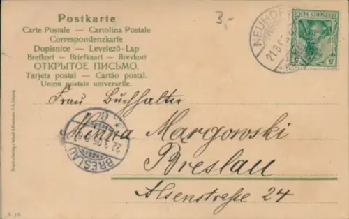 Material Ak Blühende Rose