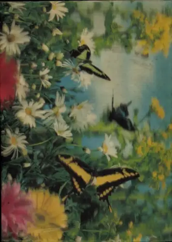 3-D Ak Schmetterlinge, Blumen