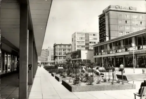 Ak Karl Marx Stadt Chemnitz in Sachsen, Rosenhof