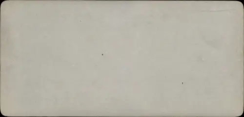 Stereo Foto Vallée de Lauterbrunnen Kanton Bern, Wengernalp