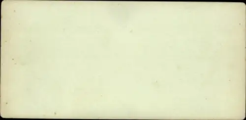 Stereo Foto Thale im Harz, Jungfernbrücke im Bodetal