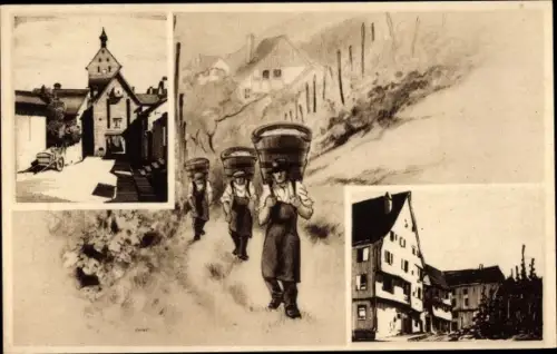 Ak Elsass Bas Rhin, Teilansicht, Traubenlese