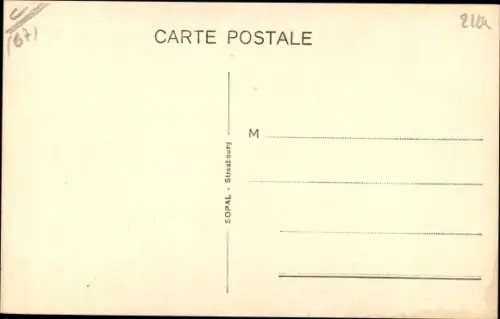 Ak Elsass Bas Rhin, Teilansicht, Traubenlese