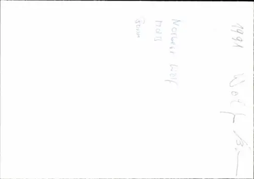 Foto Politiker Norbert Wolf, Portrait, Autogramm