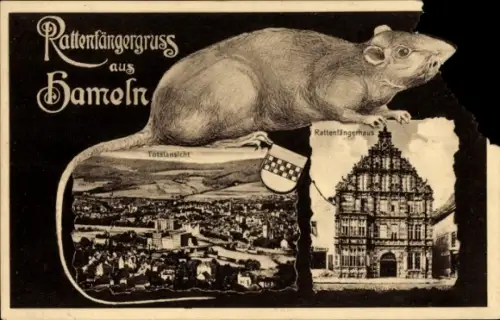 Ak Hameln an der Weser Niedersachsen, Rattenfänger, Rattenfängerhaus, Totalansicht, Maus