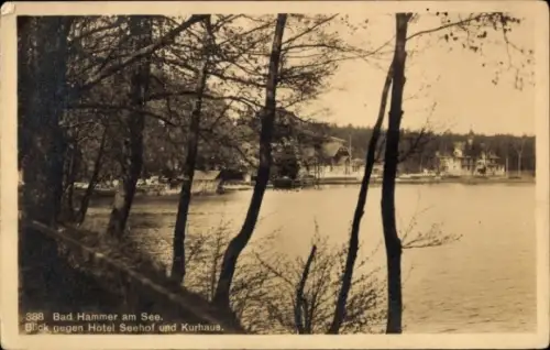 Ak Hamr na Jezeře Hammer am See Region Reichenberg, Hotel Seehof und Kurhaus