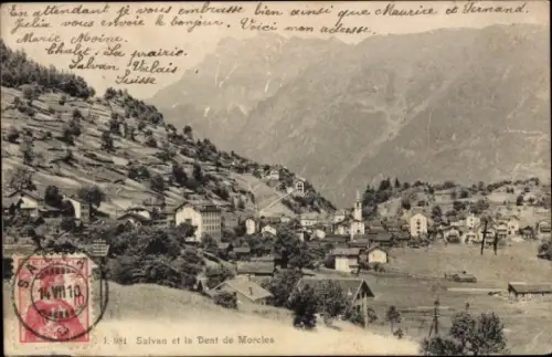 Ak Salvan Kanton Wallis Schweiz, Gesamtansicht, Dent de Morcles