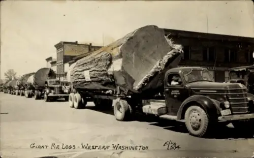 PC Western Washington, Giant Fir Logs