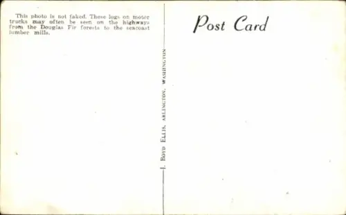 PC Western Washington, Giant Fir Logs