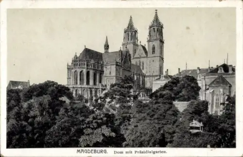 Ak Magdeburg an der Elbe,  Dom mit Präsidialgarten