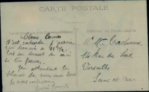 Zelluloid Ak Glückwunsch Neujahr, Blume