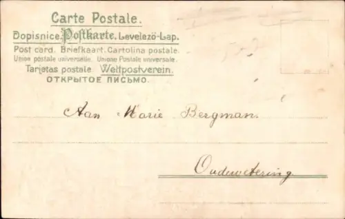 Material Ak Blumen, Tauben, Rosen