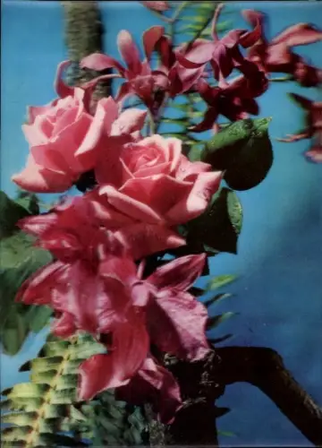 3-D Ak Blühende Rosen, Orchideen