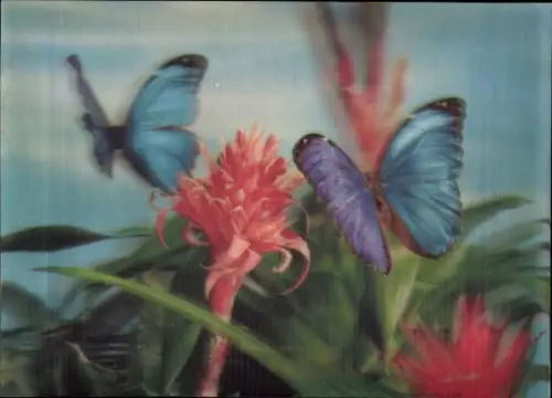 3-D Ak Schmetterlinge, Blumen