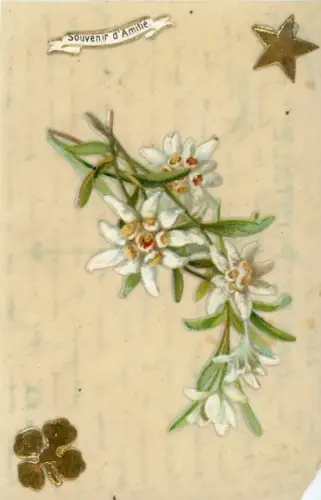 Zelluloid Ak Edelweiß, Stern, Glücksklee