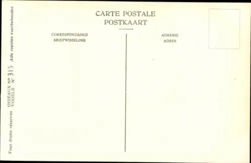 Künstler Ak Dupond, Hub., Uria grylle, Gryllteiste