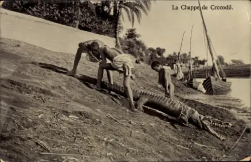 CPA Égypte, La Chappe de Crocodil