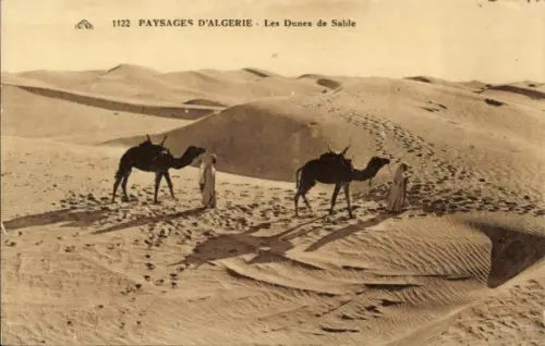 Ak Algerien, Kamele, Sanddünen