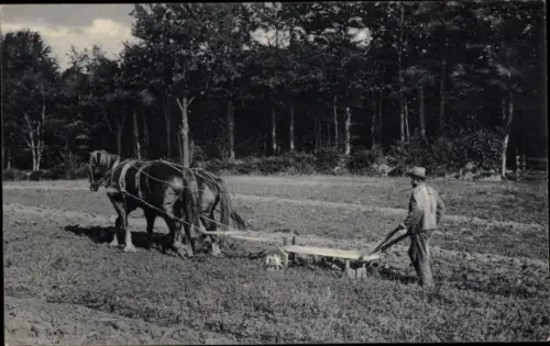 Ak Bauer mit Pferdepflug auf einem Feld