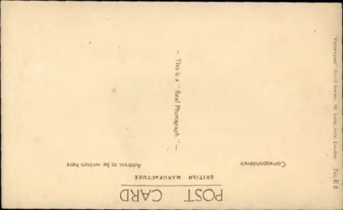 Ak Prince of Wales, Portrait