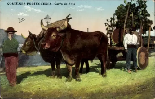 Ak Costumes Portuguezes, Carro de bois