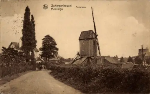 Ak Montaigu Scherpenheuvel Flämisch Brabant, Windmühle