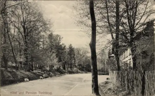 Ak Bennigsen Springe am Deister, Hotel und Pension Steinkrug, Straße, Bäume, Zaun, keine Personen