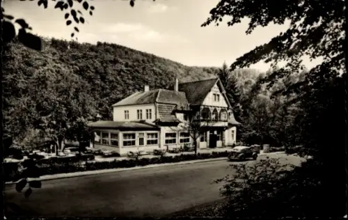 Ak Kohlstädt Schlangen im Teutoburger Wald, Waldhotel Bärental