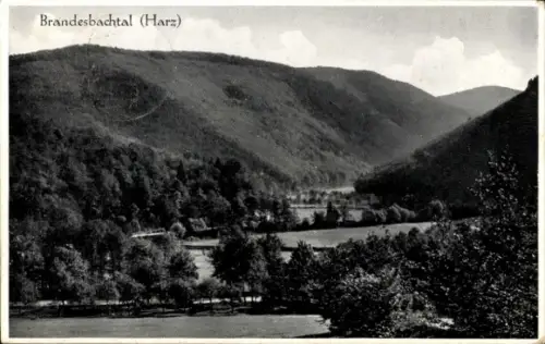 Ak Ilfeld am Harz Thüringen, Brandesbachtal