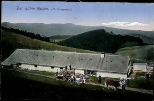 Ak Hochvogesen Haut Rhin, Der kahle Wasen, Der Kahle Wasen,  Landschaft, Tiere, Menschen