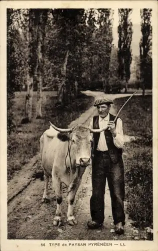 CPA Type de Paysan Pyrénéen, Bauer