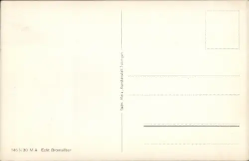 Ak Insel Reichenau Bodensee,  Schloß Salensfein, Landschaft, Boot auf dem Wasser