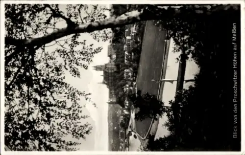 Ak Meißen an der Elbe, Blick auf  Proschwitzer Höhen, Landschaft, Bäume