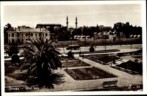 Ak Damas Damaskus Syrien, Damas, Gartenlandschaft, Palmen,  Gebäude, Minarette