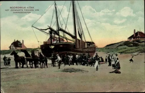 Ak Noordwijk aan Zee Südholland, Heringsschiff wird ins Wasser gezogen