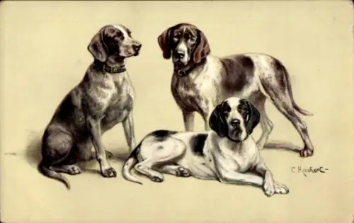 Künstler Ak Reichert, C., Drei Rassehunde, Jagdhunde