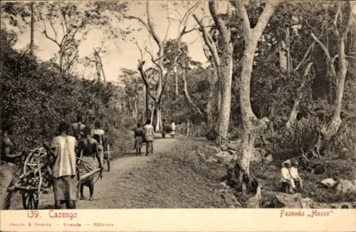 Ak Cazengo Angola, Fazenda Hocco