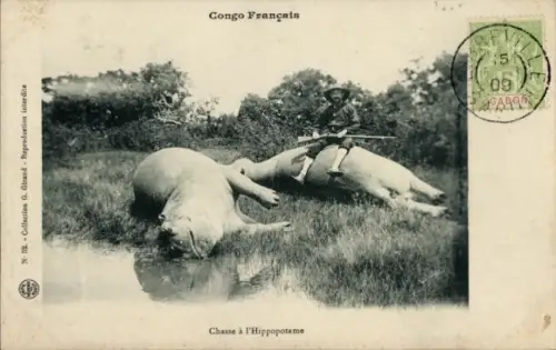 Ak Französisch Kongo, Nilpferdjagd