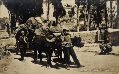 Ak Konstantinopel Istanbul Türkei, türkisches Rinderfuhrwerk