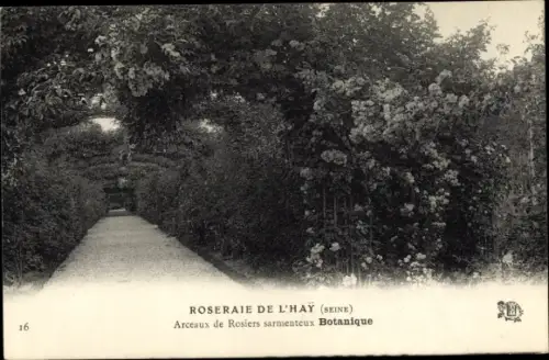 Ak L’Haÿ-les-Roses Val de Marne, Roseraie, Arceaux de Rosiers sarmenteux Botanique