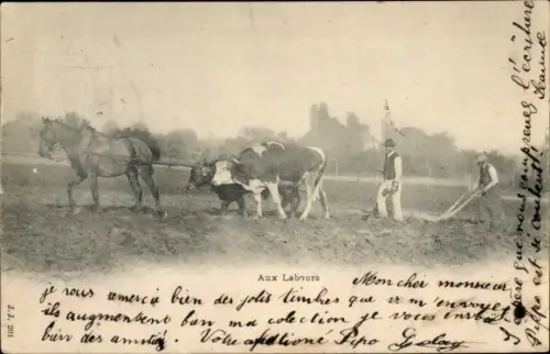 Ak Aux Labours, Rinderpflug, Bauern