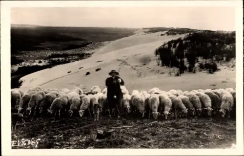 Ak Landes, Schäfer mit Herde in den Dünen