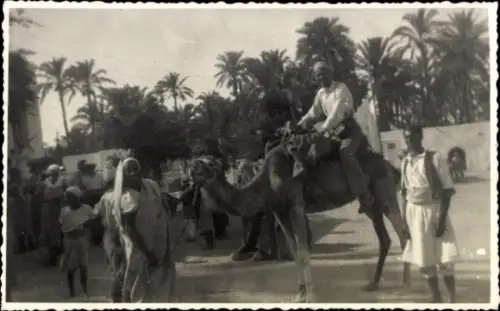 Foto Ak Maghreb, Kamelreiter, Palmen
