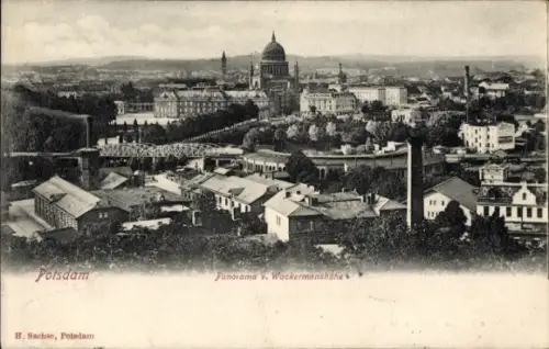 Ak Potsdam, Panorama von Wackermanshöhe, Stadtansicht, H. Sachse, Potsdam