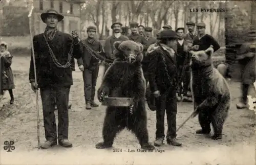 Ak Les Pyrenees, Tanzbären