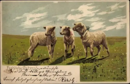 Litho Glückwunsch Ostern, Lämmer, Wiese