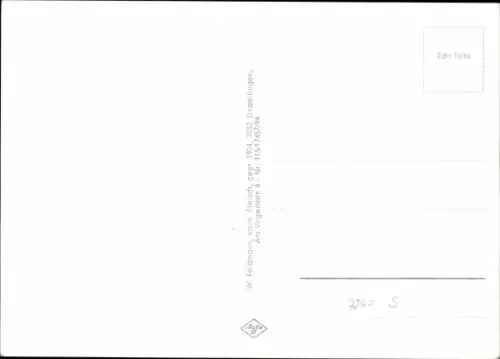 Ak Bergfelden Sulz am Neckar, Kirche, Rathaus, Ortsansicht, Siedlung