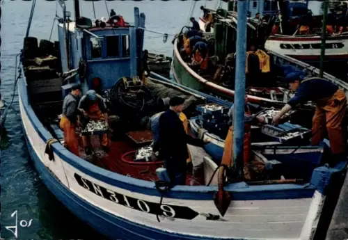 Ak Fischerboot, Le débarquement du poisson