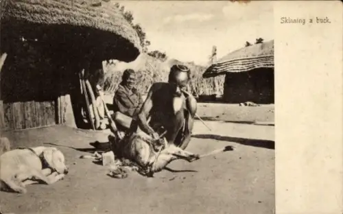 Ak Natal Südafrika, Skinning a buck