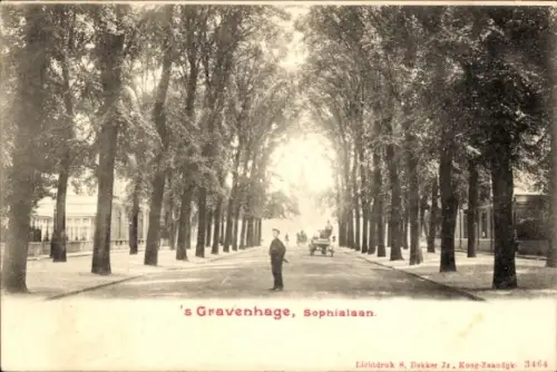 Ak 's Gravenhage Den Haag Südholland, Sophialaan